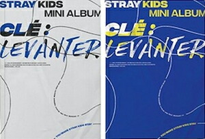 楽天市場】国内発送 STRAY KIDS - Cle : LEVANTER Mini Album CD 韓国