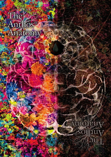 【送料無料】華Doll* The Anthos* Anatomy/Anthos*[DVD]【返品種別A】