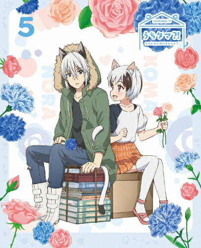 【送料無料】[限定版]うちタマ?! ～うちのタマ知りませんか?～5(完全生産限定版)【DVD】/アニメーション[DVD]【返品種別A】
