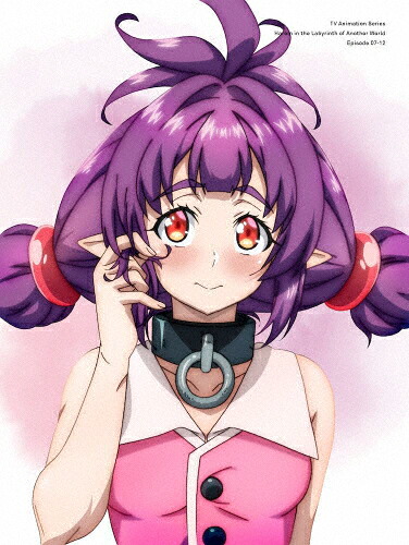 【送料無料】異世界迷宮でハーレムを DVD BOX 下巻/アニメーション[DVD]【返品種別A】｜Joshin web CD／DVD店