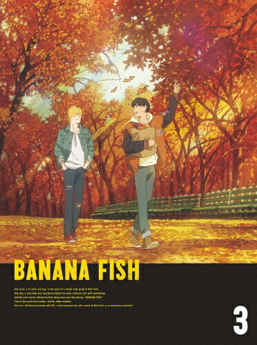 【送料無料】[限定版]BANANA FISH DVD BOX 3【完全生産限定版】/アニメーション[DVD]【返品種別A】｜Joshin web CD／DVD店