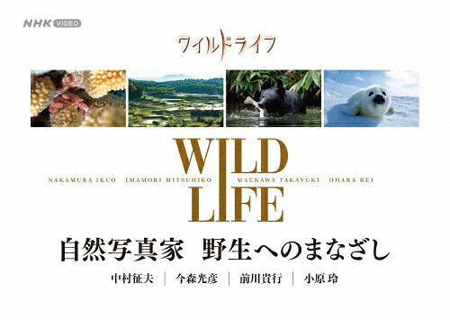 【送料無料】ワイルドライフ 自然写真家 野生へのまなざし BOX/ドキュメント[Blu-ray]【返品種別A】