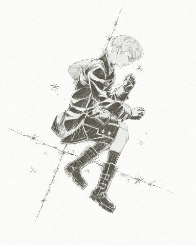 【送料無料】[枚数限定][限定版]NieR:Automata Ver1.1a DVD BOX Vol.2(完全生産限定版)/アニメーション[DVD]【返品種別A】 17,618円