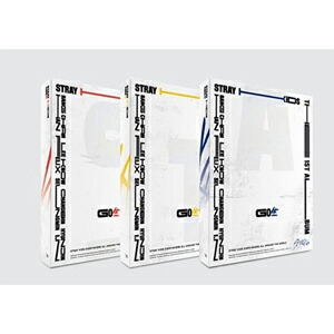 スキズ　straykids go生　go life アラジン　特典　リノ straykids GO生 限定版 リノ トレカ スキズstraykids go生go life