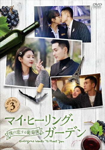 【送料無料】マイ・ヒーリング・ガーデン～僕の恋する葡萄園～ DVD-BOX3/チャン・ジャーハン[DVD]【返品種別A】