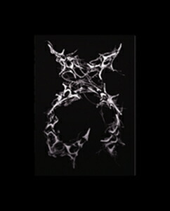 楽天市場】☆初回特典☆ XG - 2nd Mini Album [AWE] (VINYL ver