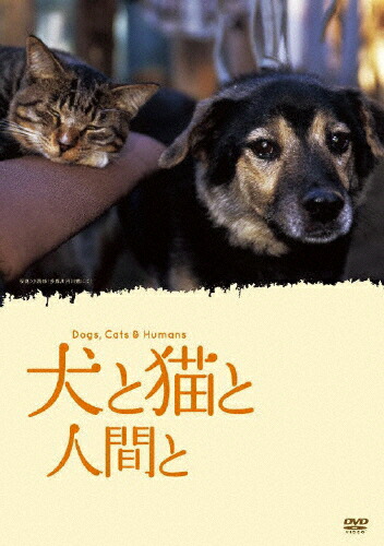 ふしぎ犬トントン DVD-BOX HDリマスター版 坂上忍主演 楽天市場】ふしぎ犬トントン DVD-BOX HDリマスター 昭和の名作ライブ