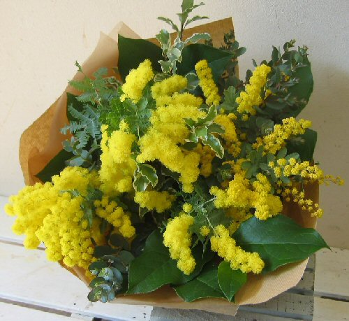 楽天市場 ミモザのブーケ 早春を告げる鮮やかな黄色いお花 ミモザをボリュームいっぱいに束ねました ジュジュ フラワーズ