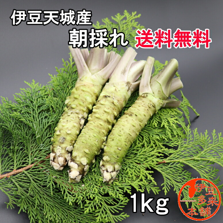 1708円 クリスマスファッション 香りと美しい緑色のわさび 生鮮わさび×3セット 送料無料 ポイント消化 1708円 クリスマスファッション 香りと美しい緑色のわさび 生鮮わさび×3セット 送料無料 ポイント消化