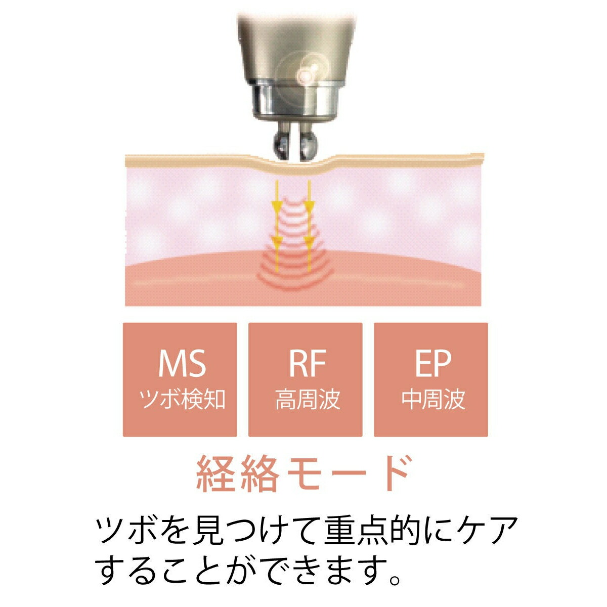 ５０％ＯＦＦ／ ＢＭＬ ビー・エム・エル エッセンス付 引き締め専用
