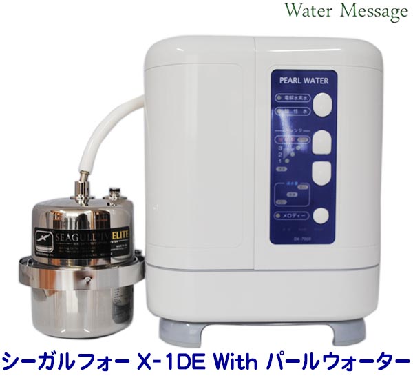 シーガルフォーX-1DE with 電解立ち直らす水生み出すこと器パールお水DX-7000 ウィズ取り合わせ【貨物輸送無料】
