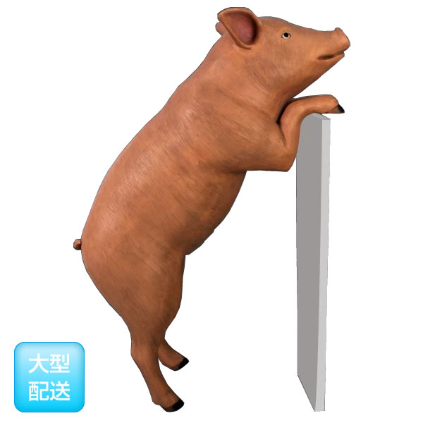 ふるさと納税 置物動物インテリア好奇心の旺盛な豚 Curious Pig Fr0608br 内祝い Asprovalta Ravenvision Rs