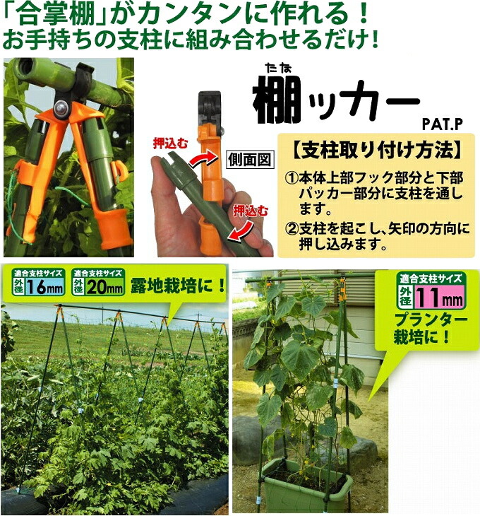 楽天市場 棚ッカー 外径11mm支柱用 3個入り Rcp 園芸 ガーデニング 家庭菜園 菜園 家庭農園 畑 庭 家庭用 支柱 栽培 花 野菜 合掌 つるもの 店頭受取対応商品 joyアイランド 楽天市場 棚ッカー 外径11mm支柱用 3個入り Rcp 園芸 ガーデニング 家庭菜園 菜園 家庭農園 畑 庭 家庭用 支柱 栽培 花 野菜 合掌 つるもの 店頭受取対応商品 joyアイランド