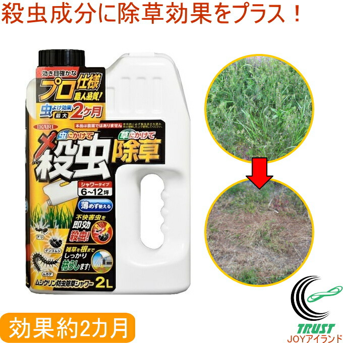 楽天市場】ネオラッテＰ 10g×15袋入 RCP 害虫 害獣 ねずみ ネズミ 鼠 殺虫剤 殺虫 駆除 蓄積毒タイプ 分包タイプ 設置 配置 置型  店頭受取対応商品 : ＪＯＹアイランド