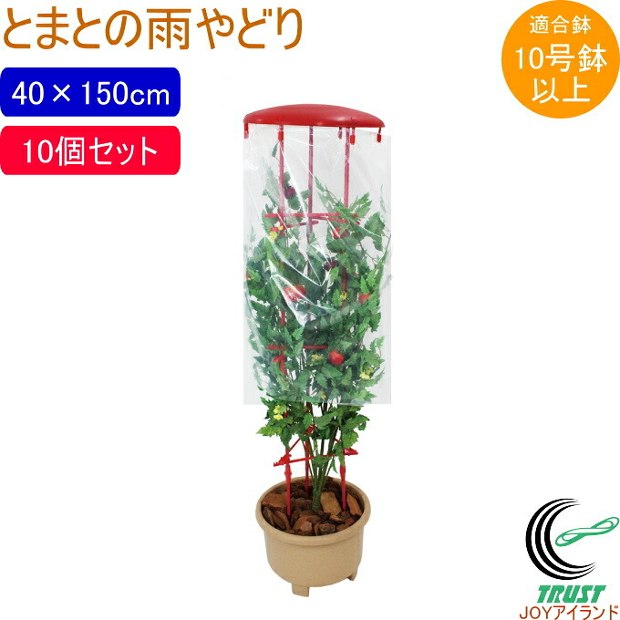 とまとの雨やどり 10個セット 園芸 園芸用小物 菜園 農業用資材 栽培 収穫 家庭菜園 畑 農業 果物 野菜 とまと トマト 雨よけ 支柱 シート パッカー セット 鉢用 第一ビニール|JOYアイランド