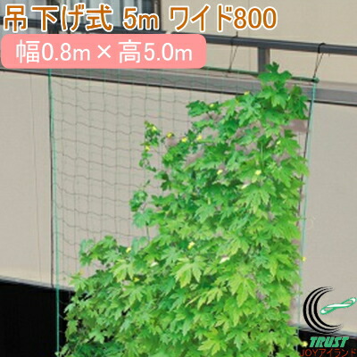 楽天市場】伸縮式緑のカーテン 3m ワイド800 立掛けタイプ RCP