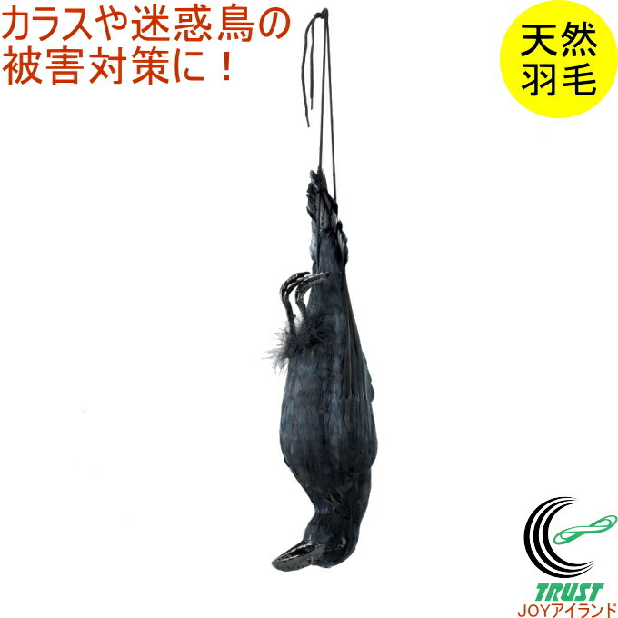 嚇す