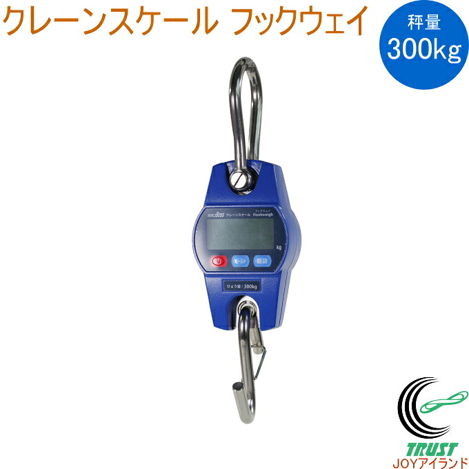 世界主任者 起重機規模 Hookweigh 引っ掛かり通い路 DCS-300  はかり 位置づける 計測 規模 デジタル 吊りばかり お百姓さん 農作物 肥やし 秤 ホールド役立つこと 見せ掛け引っ張ること役立つこと オートオフ役立つこと うしろ側点火装置付き添い人 貨物輸送無料 世界主任者 高森コーキ