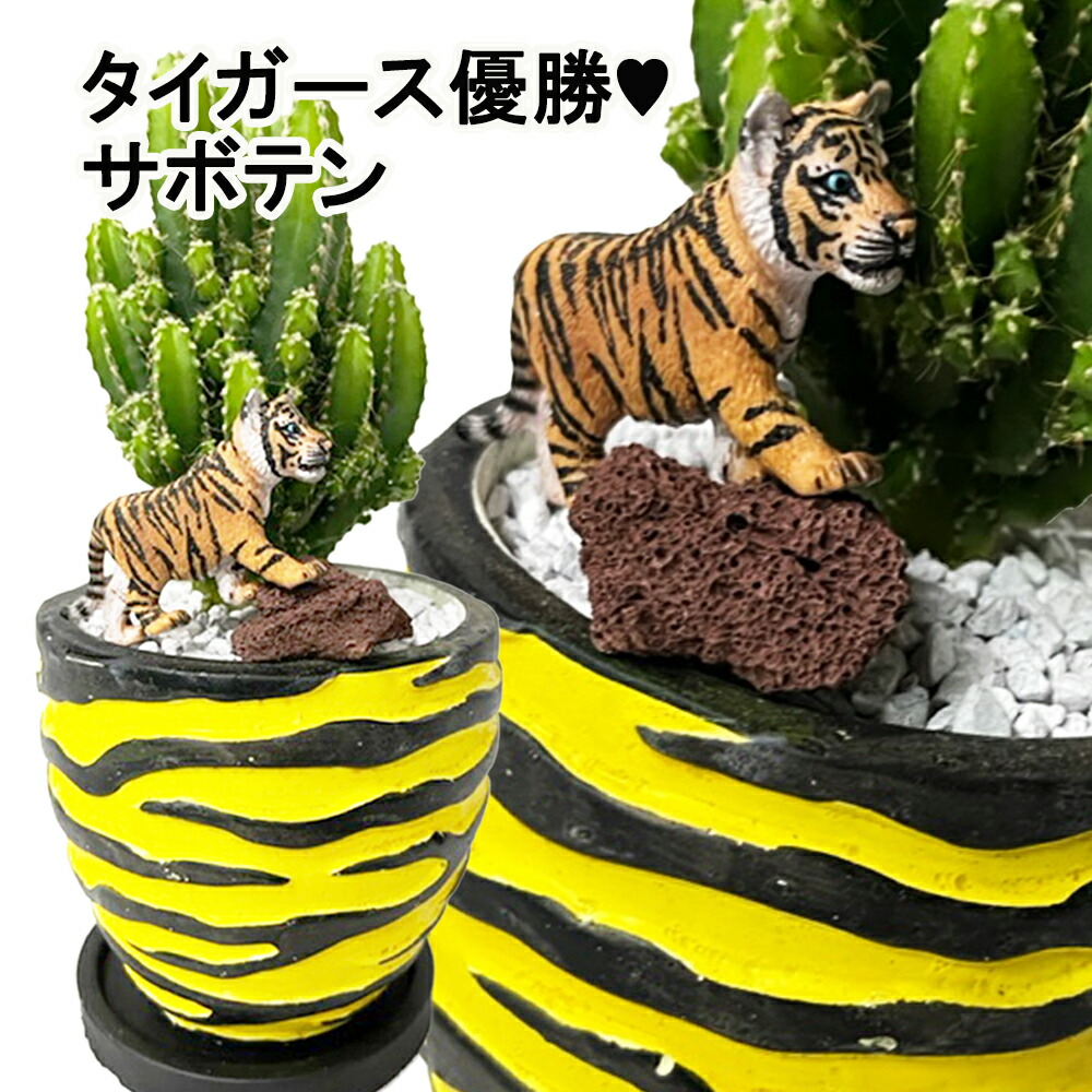 楽天市場】【完売】＼阪神ファン☆トラッキー／【送料無料 刺繍無料