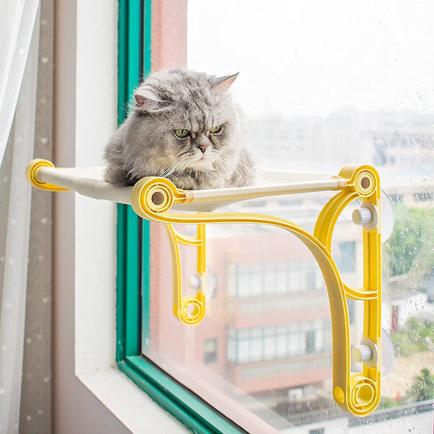 市場 猫 猫窓ベッド 吸盤式 ペット 猫ベッド ハンモック キャットハンモック ベッド