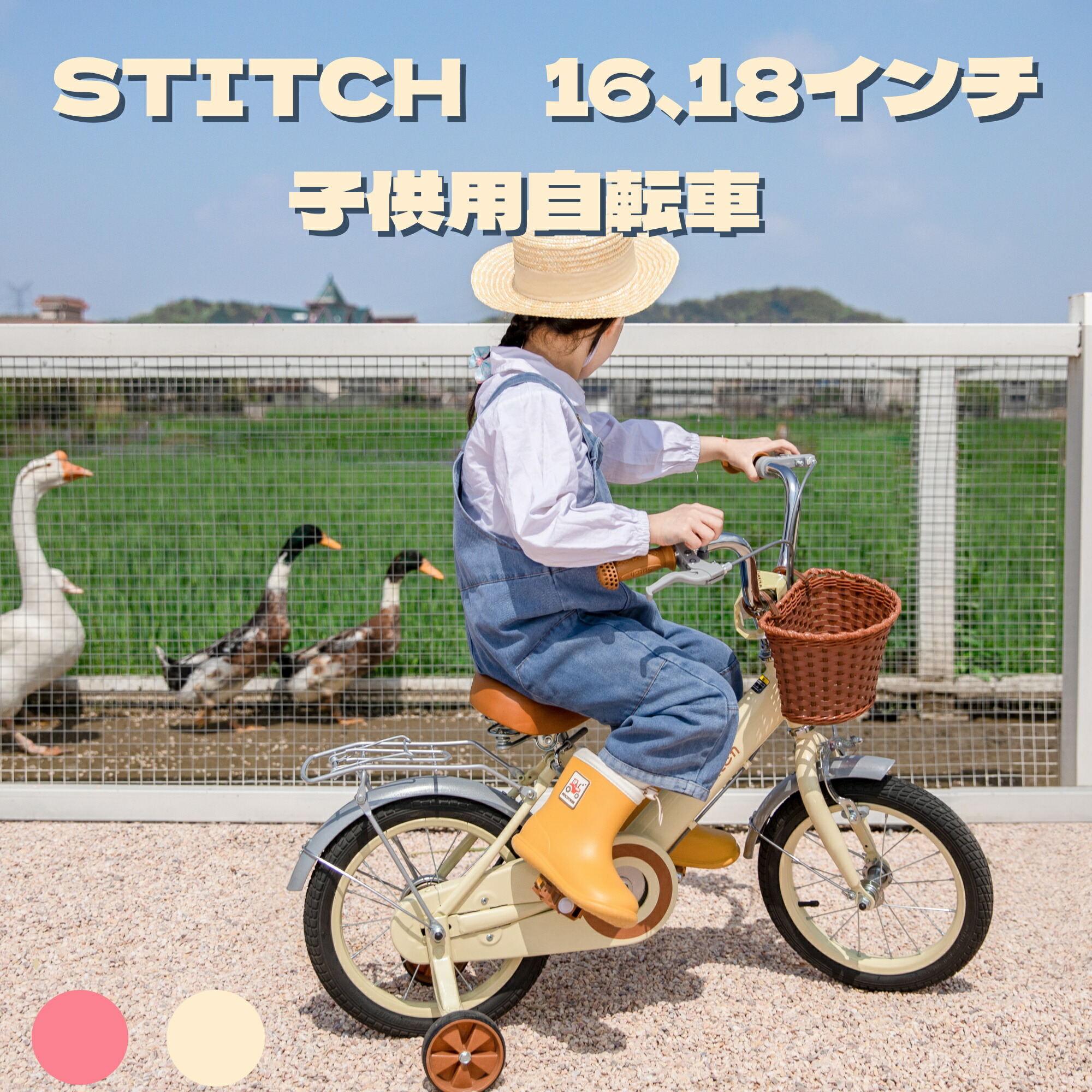 imgrc0187718801.jpg
