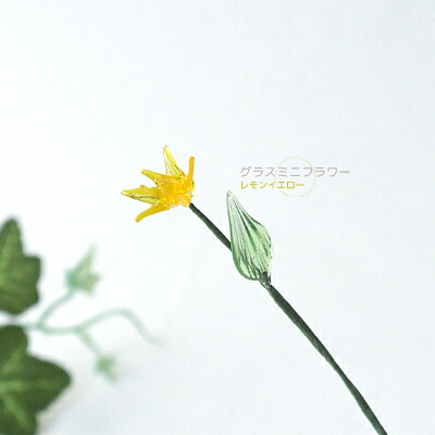 楽天市場】＜ガラス製品 グラスフラワー ガラスの花 インテリア