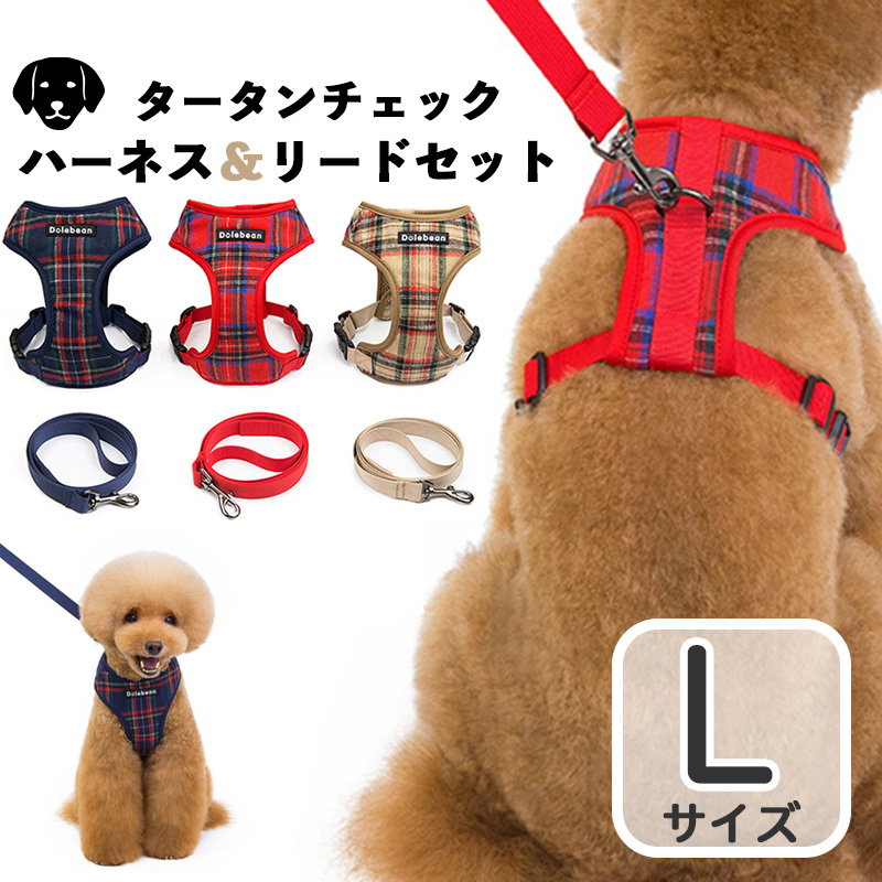 わんこ様　首輪&リードセット ブラックレザー シルバー金具 おまけ付き Amazon | azuza 犬 首輪 リード セット 丈夫 調節可能 Dリング
