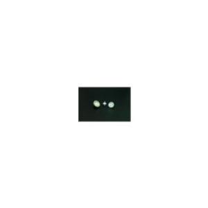 大阪ケミカル シリンジフィルター（親水性）ＣＡ φ２５粍／φ０．２２μｍNCGJ0548741-1383-03