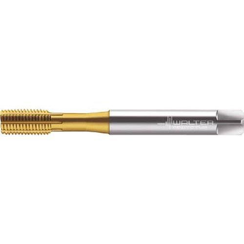 ワルター・ツーリング・ジャパン ※ワルター プロトティップ S PLUS 転造タップ (TINコート) JD2061705M6 8945 3878864