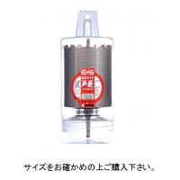 ユニカ 単役立つこと中核グループせん孔機E＆S 乾式金剛石 DC印字機(ストレートシャンク) ES-D100ST (9893ar)
