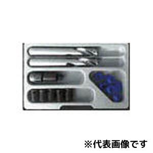 ノガ・ウォーターズ(Noga Waters) NOGA リーダーサート(ねじ取りつくろう一揃いの道具)M10×1.25 LS10236