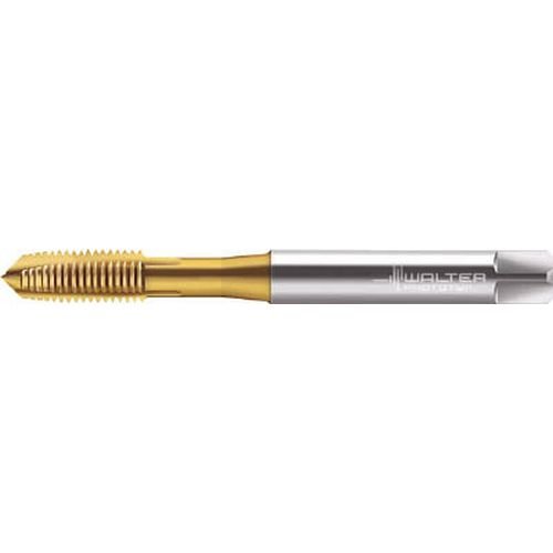 ワルター・ツーリング・ジャパン ※ワルター プロトティップ H 細目ポイントタップ (TINコート) JC2131005M6X0.75 8945 3909182