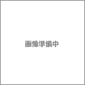スペシャルパーツ武川 PistonKit(SuperHead R-STAGE) 91cc Ape50 (57mm・91cc) 品番:01-02-0139