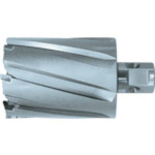 日東工器 日東 ジェットブローチ 25.5X50L 42701 (NO.42701 5038) 9,631円