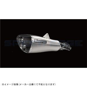 アクティブ(ACTIVE) リペア FCK リアマスタブラケットASSY SIL ZRX1200 DAEG 09-16 FCK7001-R08S