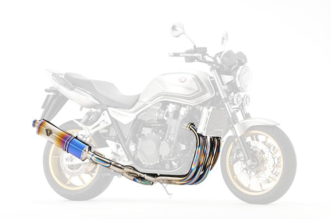 アールズギア 【必ず購入前に仕様をご確認下さい】21CB1300SF ワイバン Sin S DB (WH48-S1SD)