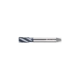 ワルター・ツーリング・ジャパン ※ワルター プロトティップ INOX スパイラルタップ (TICNコート) JC2056306M10 8945 3878741