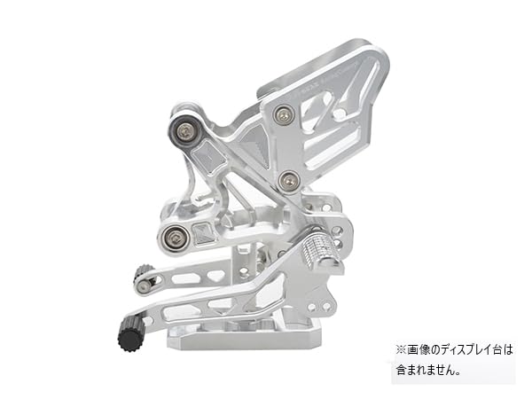 アールズギア 【必ず購入前に仕様をご確認下さい】ライディングステップ ZX25R/4R SV (AC01-0100-CL)｜ECJOY！プレミアム店