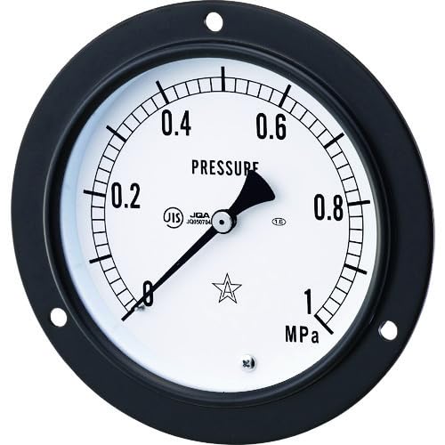 右下精器製造 右下 一般圧力計 (G4322110.25MPA 7129)