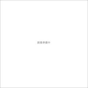アクティブ(ACTIVE) リペア バックステップ ベースプレートASSY 左 BLK 153GARAGE 15311001-L10B GB350S 21-22