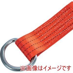 TRUSCO トラスコ中山 TRUSCO ベルト荷締機ワイドハンドル 50mm幅 764kg Dリングタイプ JIS相当品 (GV50A750D 3100)