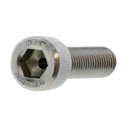 サンコーインダストリー SUNCO SUSエアー抜きCAP (全ネジ) 6×60×60 (100本入) (A002J0000060060000 3453)