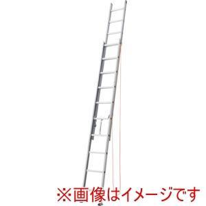 TRUSCO トラスコ中山 TRUSCO 2連掛けはしご 6.1m(100kg印字機) (TDLA261 8000)