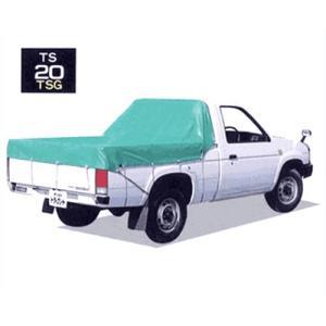南榮実業(Nan-a Corporation) 南榮実業 貨物自動車腰掛け(軽～小型貨物自動車用) 大きさ2.10m×2.65m ターポスーパーグリーン TS-20 TSG (2253847)