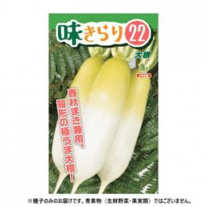 小林種苗 蘿蔔内果皮 味きらり22 6046 1デシリットル (2285686)
