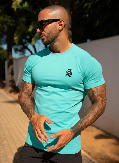 楽天市場】SINNERS ATTIRE シナーズアタイア Tシャツ 半袖