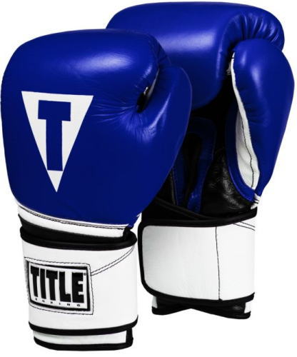 楽天市場】ボクシンググローブ タイトルボクシング Title Boxing