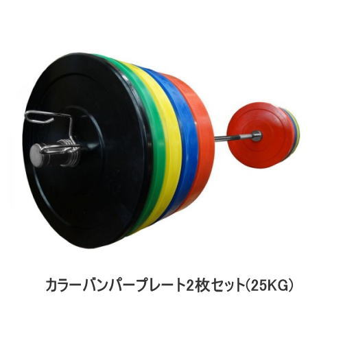 楽天市場】Φ50mm 3グリップ アイアンプレート 25kg×2枚セット 筋トレ