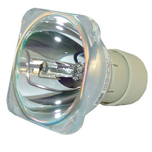 リコー RICOH PJ X4240N 交換用純正バルブ（球のみ） OB 308991 リコー プロジェクター用汎用交換ランプ 純正互換品 通常納期1週間～