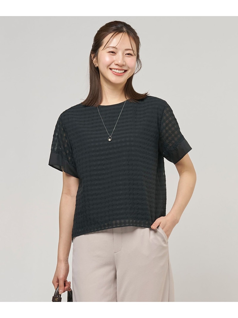 【一枚で着映え】シアーギンガム クルーネック カットソー J.PRESS ジェイプレス トップス カットソー・Tシャツ ブラック ベージュ【送料無料】[ Fashion]